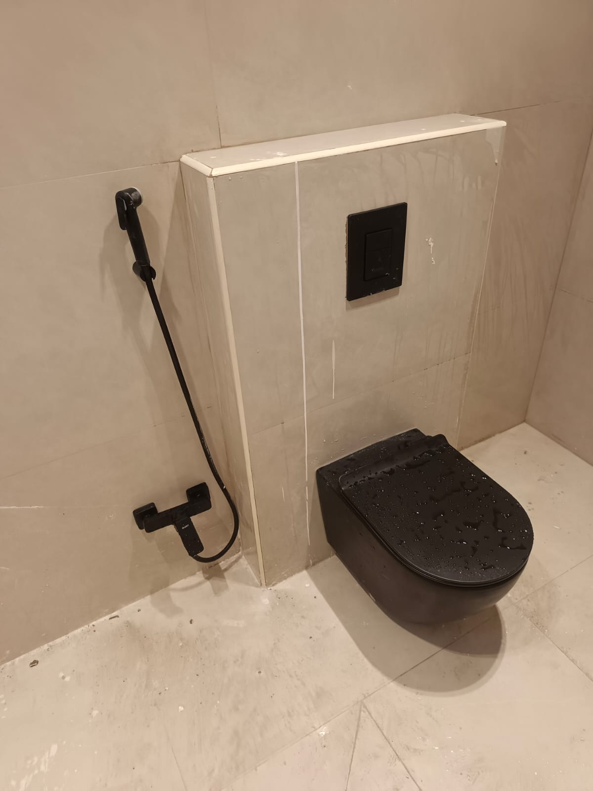 Wall hung toilet